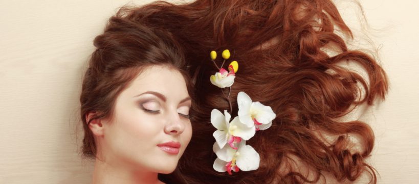 hair-spa-therapies